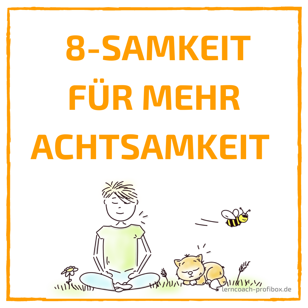 8-Samkeit-fuer-mehr-Achtsamkeit_Lerncoach-Profibox_Farida-Tlili