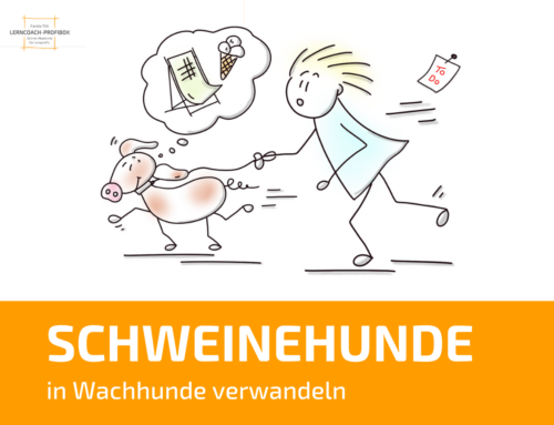 VOM SCHWEINEHUND ZUM WACHHUND