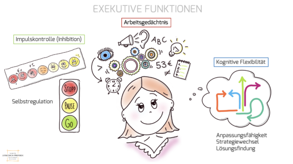 Exekutive Funktionen im Überblick_Lerncoach-Profibox_Farida Tlili