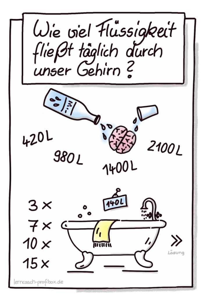 Wie viel Flüssigkeit fließt täglich durch unser Gehirn_Gehirn-Hardware_Tipps für Lernende