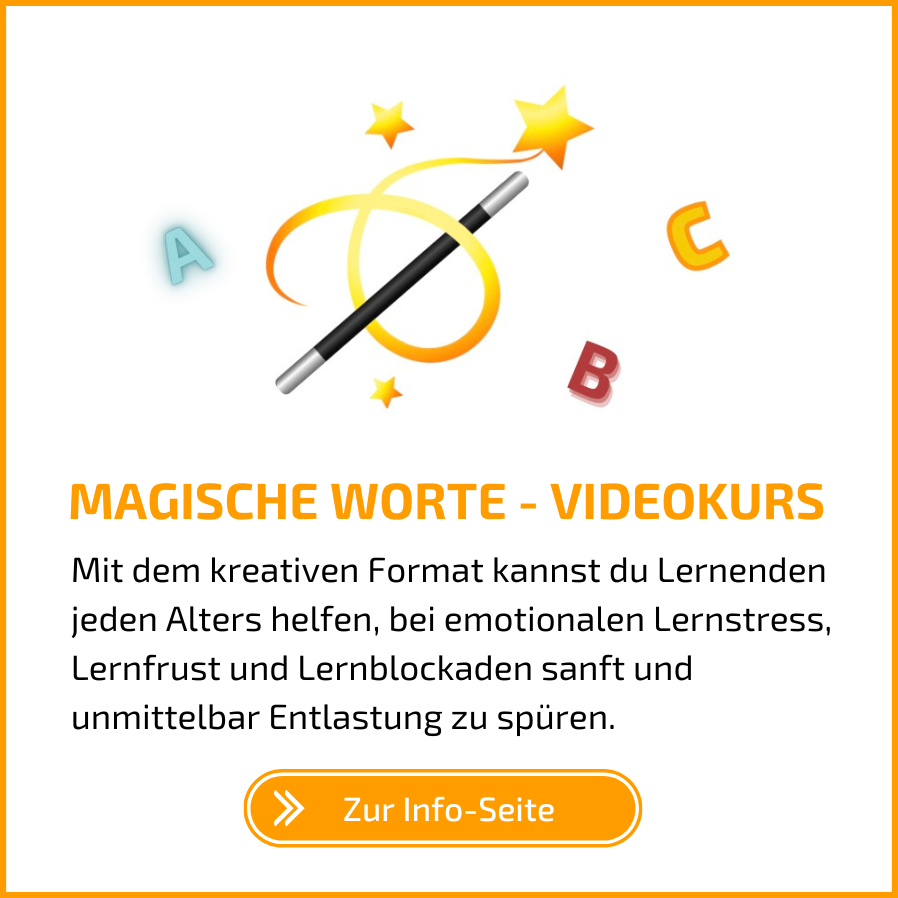 Magische Worte - Hilfe bei Lernstress, Lernfrust und Lernblockaden - ein Videokurs der Lerncoach-Profibox