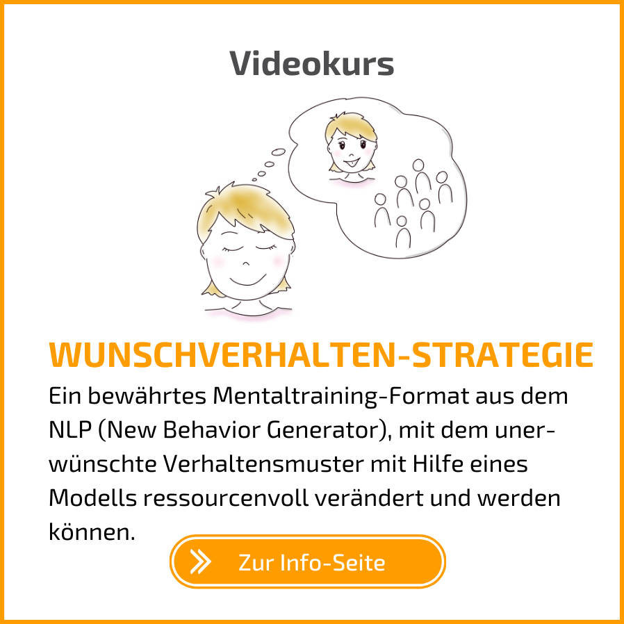 Die kleine Lernzeit - Wunschverhalten-Strategie - Videokurs