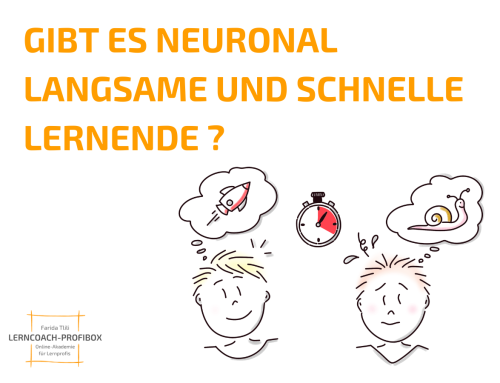 GIBT ES NEURONAL LANGSAME UND NEURONAL SCHNELLE LERNENDE?