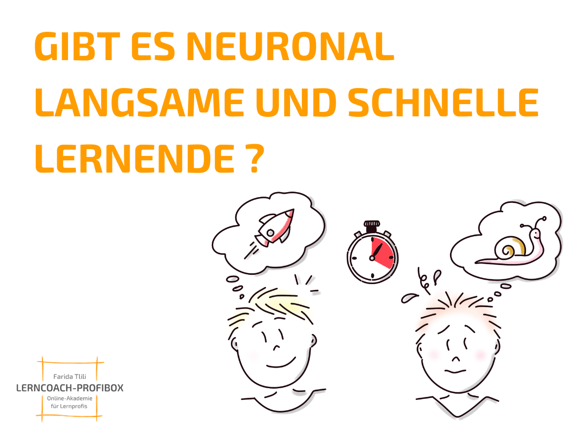 Gibt es neuronal langsam und schnelle Lernende? Das sagte Vera F. Birkenbihl zu Denkgeschwindigkeit.